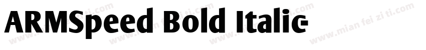 ARMSpeed Bold Italic字体转换